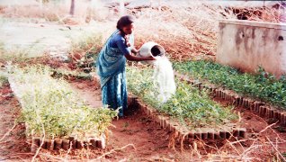 Nursery